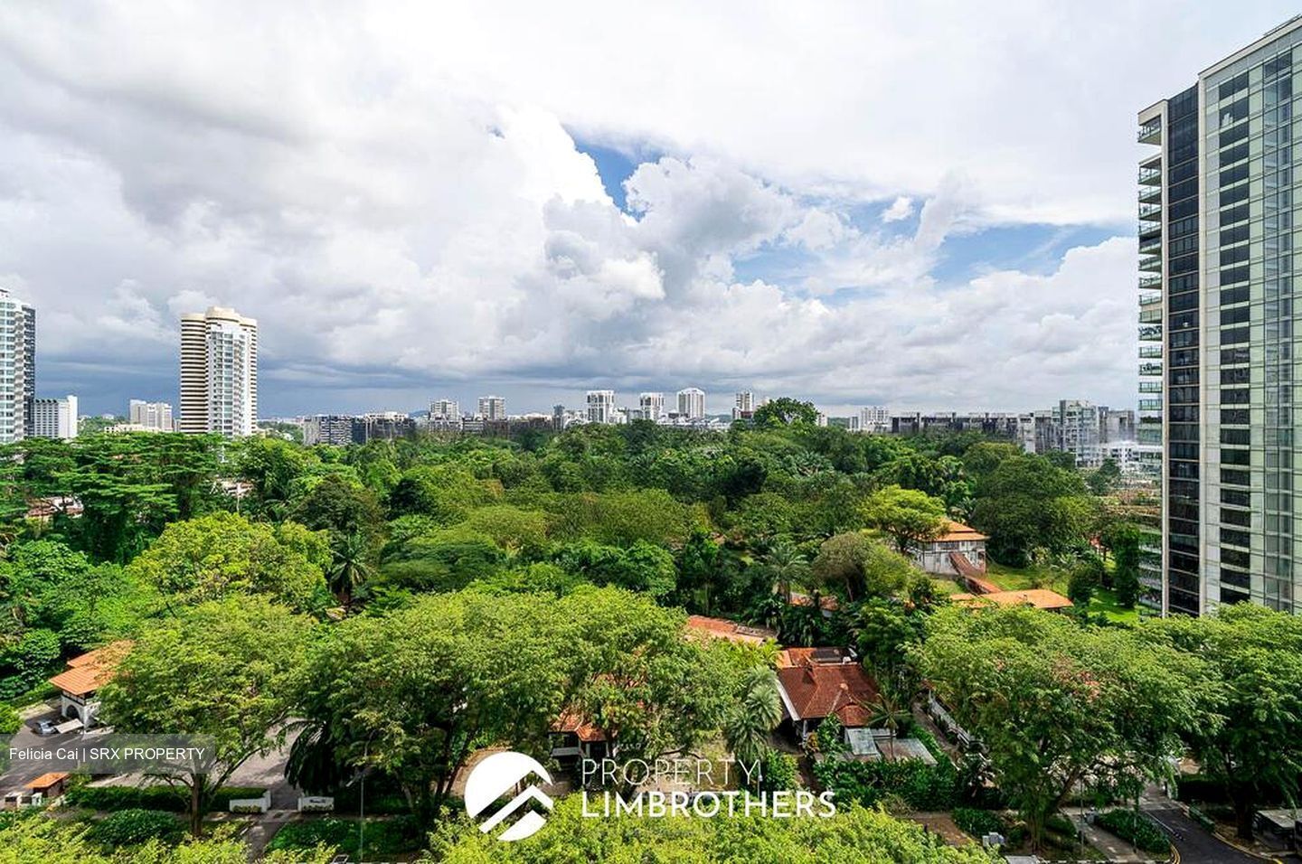 The Scotts Tower (D9), Condominium #518145801